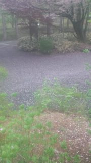 170511_120124.jpg