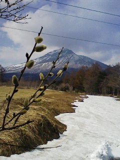 201104181444.jpg