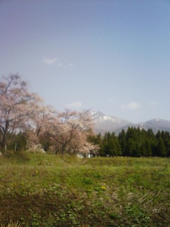 201105040907.jpg