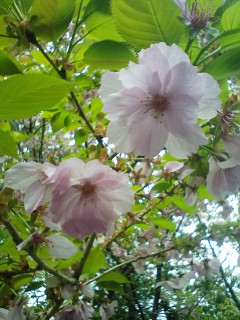 201105130807.jpg