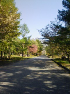 201105160739.jpg