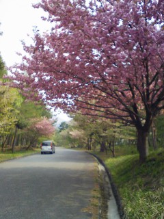 201105170759.jpg