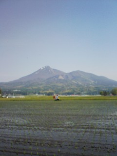 201105190837.jpg