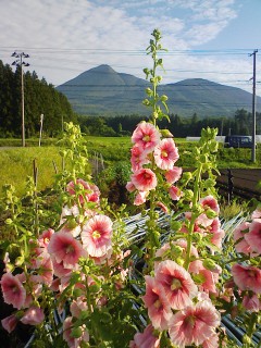 201107100557.jpg