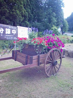 201107150750.jpg