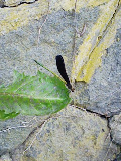 201107251801.jpg