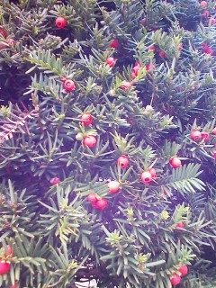 201110021216.jpg