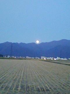 201110121724.jpg