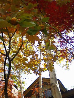 201110190915.jpg