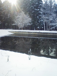 201112220852.jpg