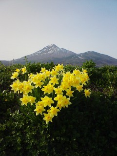 201204291627.jpg