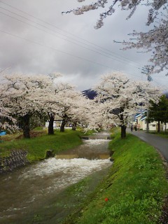 201205041508.jpg