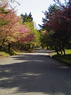 201205141424.jpg