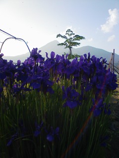 201206041713.jpg