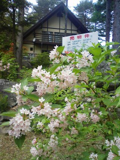 201206060807.jpg