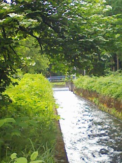 201206140826.jpg