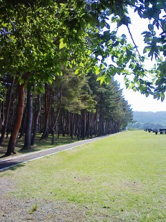 201206150826.jpg