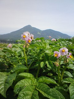 201206280832.jpg