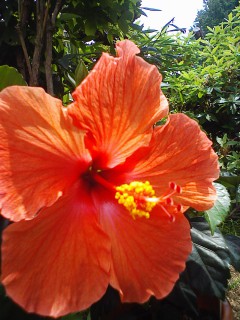 201207161134.jpg