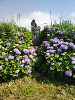 201207200833.jpg