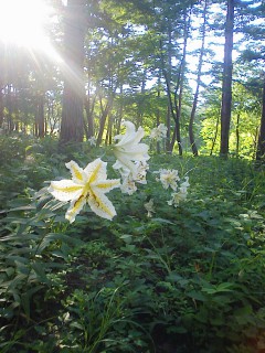 201208050637.jpg