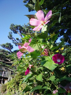 201208190612.jpg