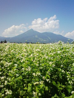 201208211331.jpg