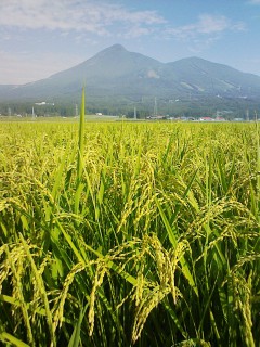 201208310757.jpg