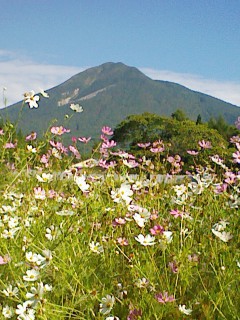 201209140836.jpg