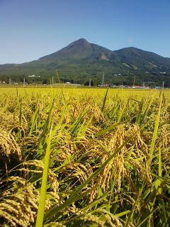 201209270712.jpg