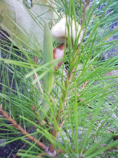 201209300924.jpg