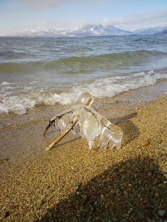 201301051306.jpg