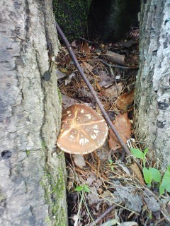 201305211058.jpg