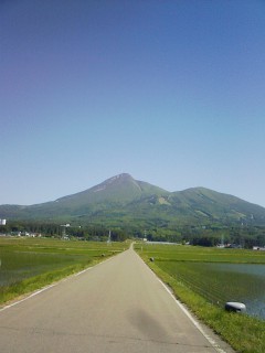 201306040756.jpg