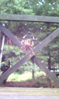 201308041814.jpg