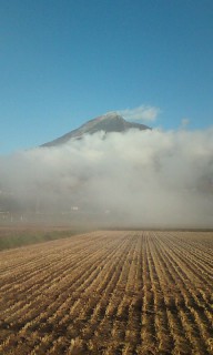 201311190805.jpg