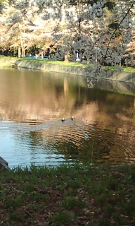 201404281623.jpg