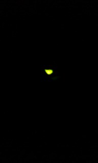 201506122040